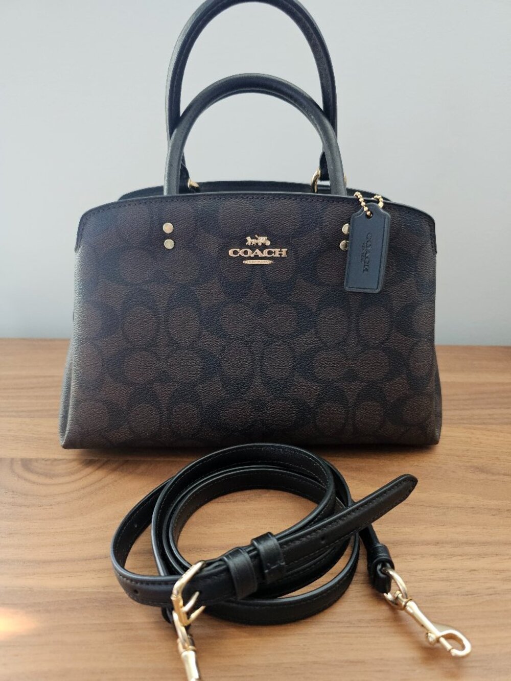 Coach Mini Lillie Carryall